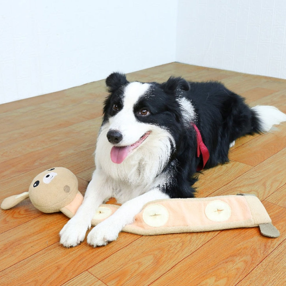 Bite-Resistant Toys for Dog Training