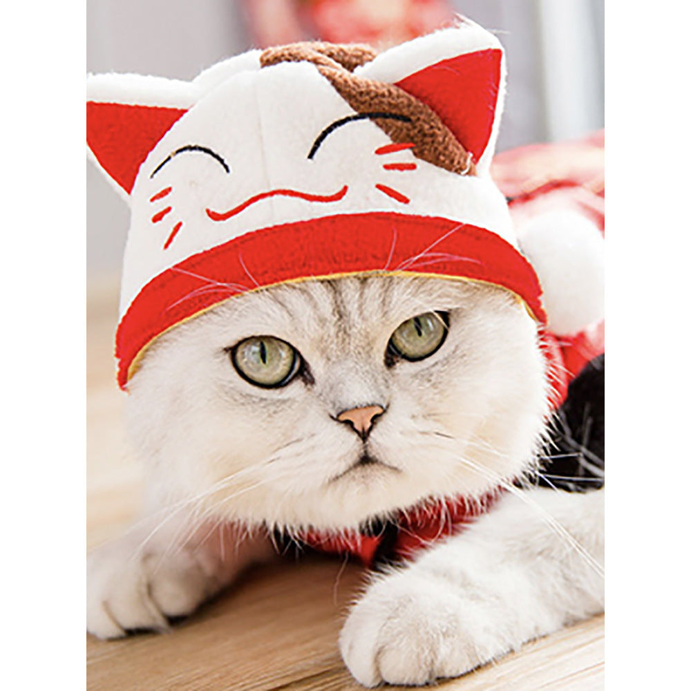 Curly Hair Pet Hat Cat Funny Dress Up Pet Products