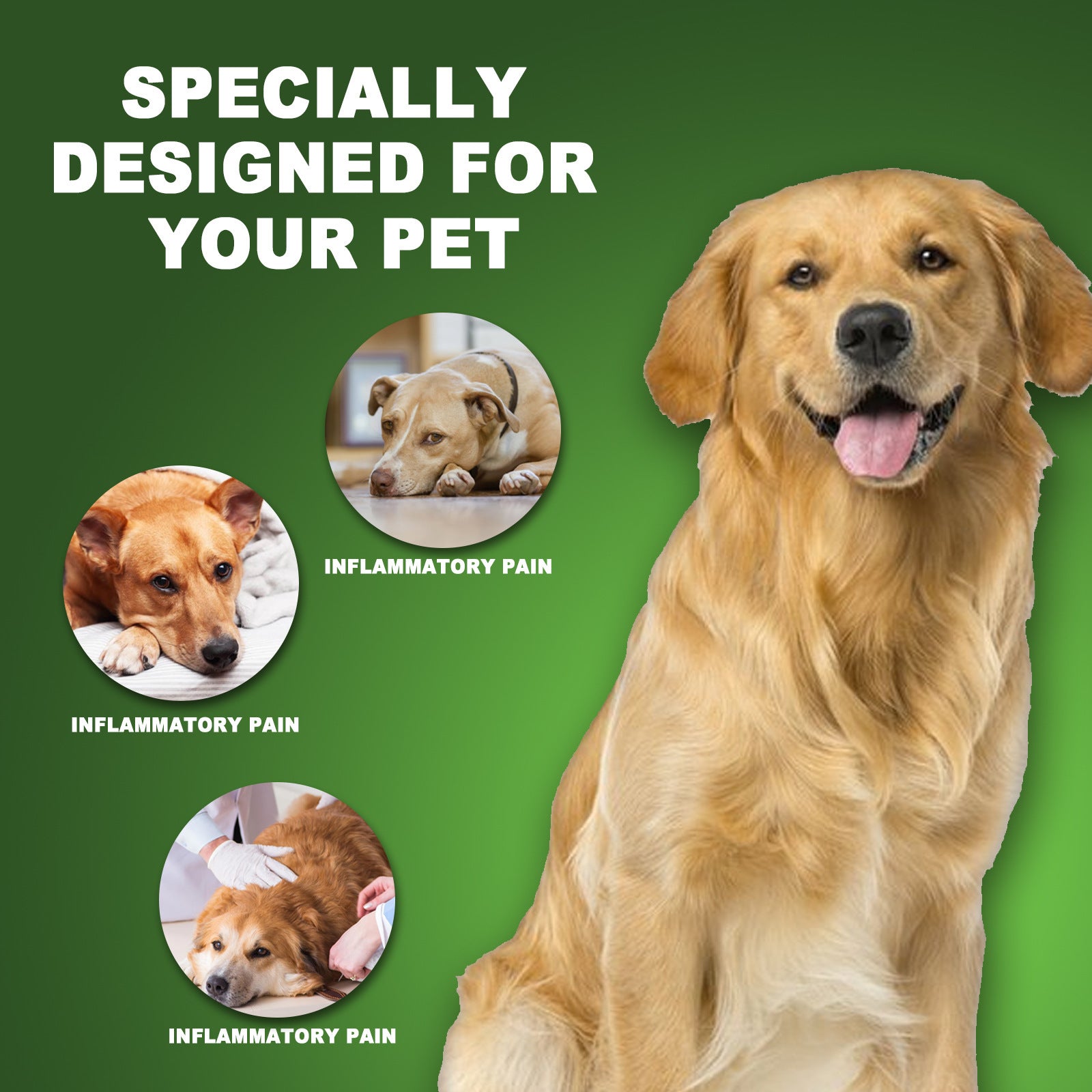 Pet Pain Relief Universal Care Solution