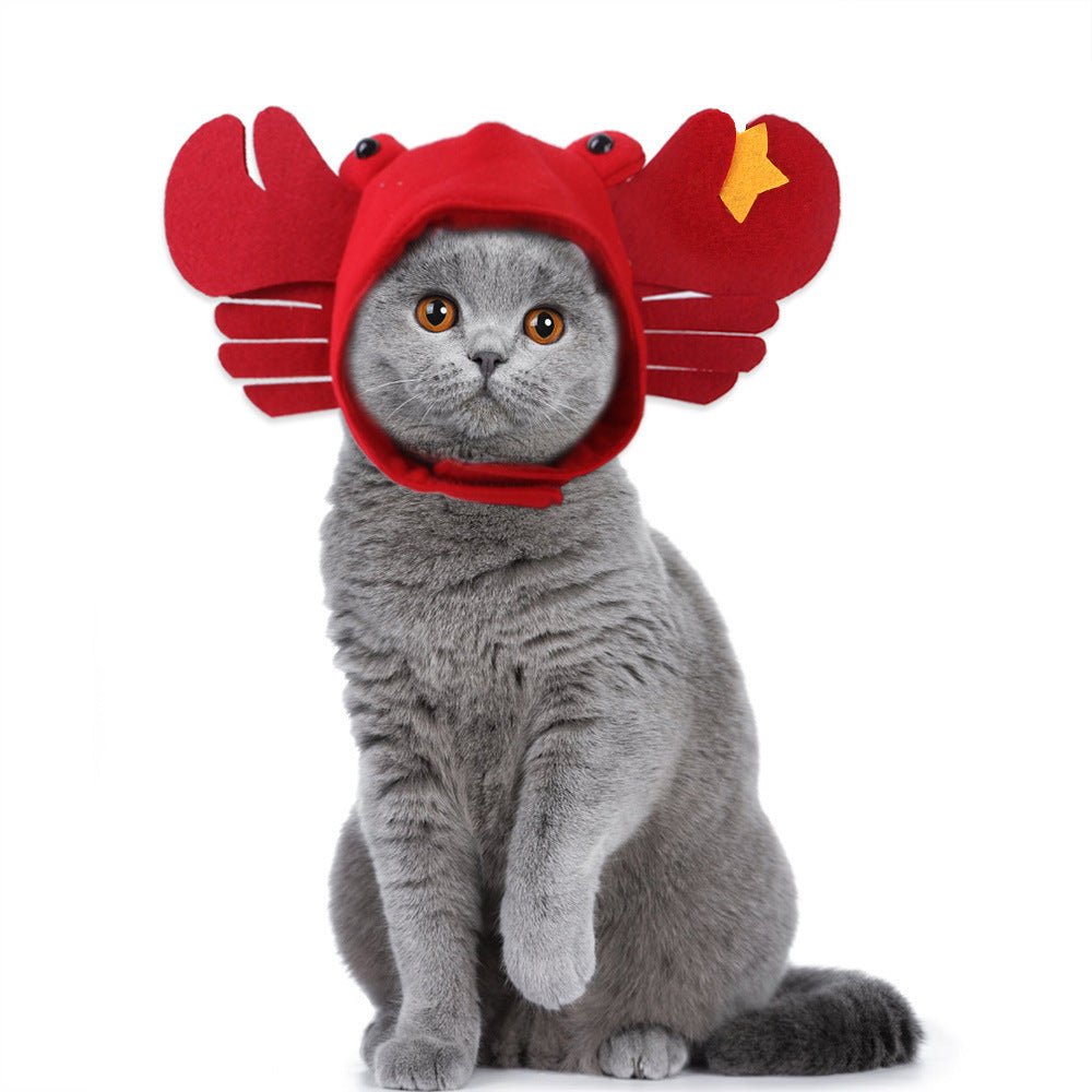 Curly Hair Pet Hat Cat Funny Dress Up Pet Products