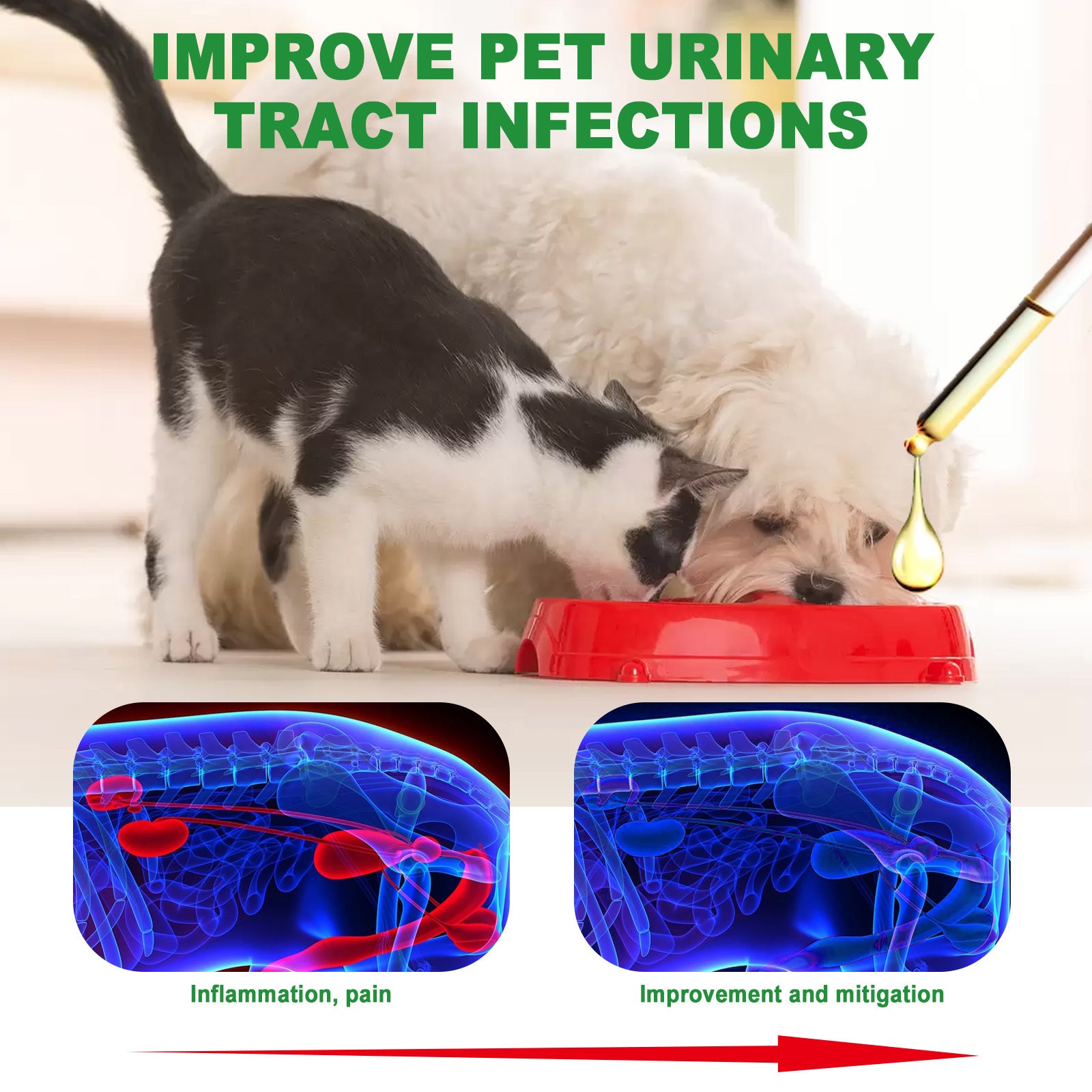 Pet Pain Relief Universal Care Solution